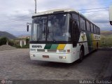 Empresa Gontijo de Transportes 10095 na cidade de Roseira, São Paulo, Brasil, por Mateus C. Barbosa. Número da foto: #215244.