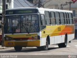 Transportes Paranapuan 10139 na cidade de Rio de Janeiro, Rio de Janeiro, Brasil, por Gabriel Peclat. Número da foto: #216472.