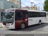Transwolff Transportes e Turismo 7 8330 na cidade de São Paulo, São Paulo, Brasil, por Mauricio A. Borges. Número da foto: #:id.