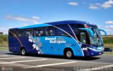 Empresa Manoel Rodrigues 51252 na cidade de Cesário Lange, São Paulo, Brasil, por EDUARDO - SOROCABUS. Número da foto: #:id.