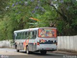Nossa Senhora de Fátima Auto Ônibus 391 na cidade de Bragança Paulista, São Paulo, Brasil, por Antonio Carlos Pangardi. Número da foto: #217601.