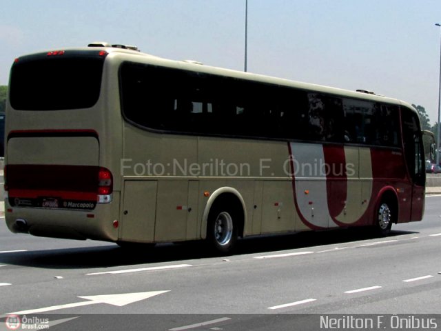 Ônibus Particulares  na cidade de São Paulo, São Paulo, Brasil, por Nerilton F.  ônibus. Número da foto: #219894.