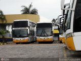 Rápido Girassol 1329 na cidade de Brasília, Distrito Federal, Brasil, por Daniel Rodrigues. Número da foto: #220213.