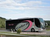 Cobra Viagens e Turismo 6000 na cidade de Quatro Barras, Paraná, Brasil, por Paulo Roberto Chulis. Número da foto: #224451.