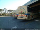 Viação Atibaia São Paulo 5130 na cidade de Bragança Paulista, São Paulo, Brasil, por Antonio Carlos Pangardi. Número da foto: #227318.
