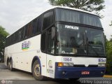 Trans Brasil > TCB - Transporte Coletivo Brasil 1996R na cidade de São Paulo, São Paulo, Brasil, por Sidcley Lourenço. Número da foto: #235376.