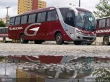 Expresso Gardenia 3255 na cidade de Pouso Alegre, Minas Gerais, Brasil, por Marcio V Boas. Número da foto: #237775.