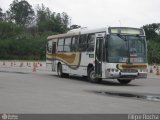 Erig Transportes > Gire Transportes TREINAMENTO na cidade de Rio de Janeiro, Rio de Janeiro, Brasil, por Filipe Rocha. Número da foto: #240139.