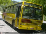Viação São Roque 1100 na cidade de São Roque, São Paulo, Brasil, por Mauricio A. Borges. Número da foto: #241530.