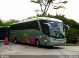 Viação Esmeralda Transportes 209 na cidade de São Paulo, São Paulo, Brasil, por Cleber C.  Moreira. Número da foto: #242917.