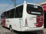 Transwolff Transportes e Turismo 7 8123 na cidade de São Paulo, São Paulo, Brasil, por Antonio Carlos Pangardi. Número da foto: #242869.