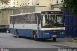 Ave do Paraíso Turismo 613 na cidade de Rio de Janeiro, Rio de Janeiro, Brasil, por Rodrigo Miguel. Número da foto: #245331.