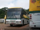 Nacional Expresso 16355 na cidade de Maringá, Paraná, Brasil, por Daniel Rodrigues. Número da foto: #247149.