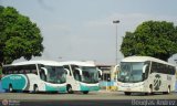 Trans Brasil > TCB - Transporte Coletivo Brasil 4600 na cidade de Goiânia, Goiás, Brasil, por Douglas Andrez. Número da foto: #247125.