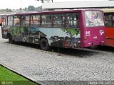 Auto Viação São José dos Pinhais 246 na cidade de São José dos Pinhais, Paraná, Brasil, por Diego Ricardo. Número da foto: #:id.