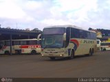 Pluma Conforto e Turismo 4135 na cidade de Passo Fundo, Rio Grande do Sul, Brasil, por Eduardo Machado. Número da foto: #234502.