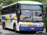 Trans Brasil > TCB - Transporte Coletivo Brasil 1991-R na cidade de São Paulo, São Paulo, Brasil, por Nerilton F.  ônibus. Número da foto: #261290.