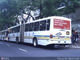 Restinga Transportes Coletivos 2409 na cidade de Porto Alegre, Rio Grande do Sul, Brasil, por Eduardo Machado. Número da foto: #262131.
