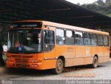 Viação Tamandaré 16A84 na cidade de Almirante Tamandaré, Paraná, Brasil, por Paulo Gustavo. Número da foto: #:id.
