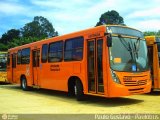 Viação Tamandaré 16A90 na cidade de Colombo, Paraná, Brasil, por Paulo Gustavo. Número da foto: #:id.