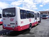 Empresa de Ônibus Pássaro Marron 3013 na cidade de Cruzeiro, São Paulo, Brasil, por Mateus C. Barbosa. Número da foto: #:id.