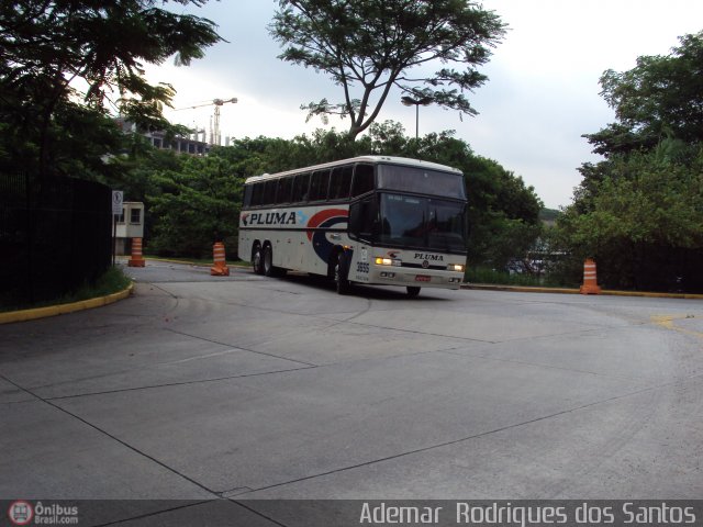 Pluma Conforto e Turismo 3655 na cidade de São Paulo, São Paulo, Brasil, por Adems  Equipe 19. ID da foto: 267357.