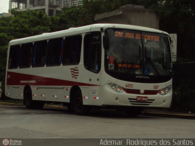 Empresa de Ônibus Pássaro Marron 6013 na cidade de , por Adems  Equipe 19. Número da foto: #267368.