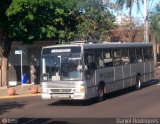 Empresa Irmãos Rafagnin 880 na cidade de Foz do Iguaçu, Paraná, Brasil, por Daniel Rodrigues. Número da foto: #251492.