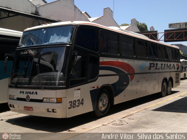 Pluma Conforto e Turismo 3834 na cidade de Rio de Janeiro, Rio de Janeiro, Brasil, por André Vitor  Silva dos Santos. Número da foto: #273832.