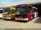 VIP - Unidade Guarapiranga TREINAMENTO na cidade de São Paulo, São Paulo, Brasil, por André Luiz Gomes de Souza. Número da foto: #252278.