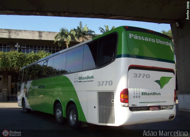 Pássaro Verde 3770 na cidade de Belo Horizonte, Minas Gerais, Brasil, por Adão Raimundo Marcelino. ID da foto: 256570.