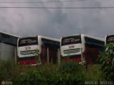Expresso São Luiz 7470 na cidade de Caxias do Sul, Rio Grande do Sul, Brasil, por Marcio  Bruxel. Número da foto: #85361.