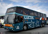 Luccel Transporte e Turismo 280 na cidade de São Paulo, São Paulo, Brasil, por EDUARDO - SOROCABUS. Número da foto: #75578.
