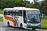 Empresa de Transportes Andorinha 6007 na cidade de Assis, São Paulo, Brasil, por Francisco Ivano. Número da foto: #101045.