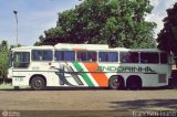 Empresa de Transportes Andorinha 4136 na cidade de Assis, São Paulo, Brasil, por Francisco Ivano. Número da foto: #102950.