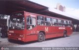 Auto Viação São José dos Pinhais 20055 na cidade de Curitiba, Paraná, Brasil, por Wagner Domingos Ivanesken. Número da foto: #89304.