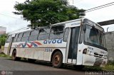 AVOA - Auto Viação Ourinhos Assis 7310 na cidade de Ourinhos, São Paulo, Brasil, por Francisco Ivano. Número da foto: #112223.