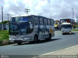 Falcão Real 22300 na cidade de Salvador, Bahia, Brasil, por Felipe Pessoa de Albuquerque. Número da foto: #:id.