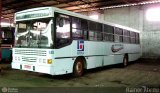 Expresso Vitória de Transportes 185 na cidade de Charqueadas, Rio Grande do Sul, Brasil, por Rainer Abreu. Número da foto: #125360.