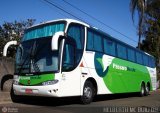Pássaro Verde 28032 na cidade de Ribeirão Preto, São Paulo, Brasil, por Helberth Mc Buiu Bh. . Número da foto: #120970.
