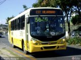 Autotrans > Turilessa 25073 na cidade de Belo Horizonte, Minas Gerais, Brasil, por Moisés Magno. Número da foto: #:id.