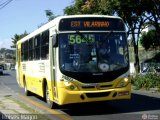 Autotrans > Turilessa 25073 na cidade de Belo Horizonte, Minas Gerais, Brasil, por Moisés Magno. ID da foto: :id.