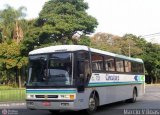 Auto Omnibus Circullare 7101 na cidade de Poços de Caldas, Minas Gerais, Brasil, por Marcio V Boas. ID da foto: :id.