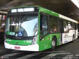 Viação Santa Brígida 1 1900 na cidade de São Paulo, São Paulo, Brasil, por Luiz Fernando Maximo. Número da foto: #152329.
