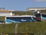 Citral Transporte e Turismo  na cidade de Caxias do Sul, Rio Grande do Sul, Brasil, por Marcio  Bruxel. Número da foto: #140502.