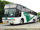 Viação Salutaris e Turismo 13611 na cidade de São Paulo, São Paulo, Brasil, por Daniel Marcos Alves . Número da foto: #160239.