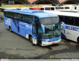 UTIL - União Transporte Interestadual de Luxo 8804 na cidade de Aparecida, São Paulo, Brasil, por Douglas Alvim. Número da foto: #:id.