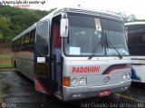 Transporte Padovani 352 na cidade de Aparecida, São Paulo, Brasil, por Luiz Krolman. Número da foto: #163129.