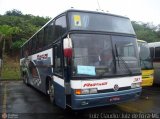 Rosa Turismo 361 na cidade de Aparecida, São Paulo, Brasil, por Luiz Krolman. Número da foto: #163170.