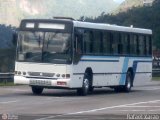Ônibus Particulares KNJ-3981 na cidade de Petrópolis, Rio de Janeiro, Brasil, por Rafael da Silva Xarão. Número da foto: #:id.